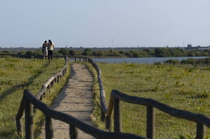 Pasarela en la reserva natural Dehesa de Abajo, en la provincia de Sevilla.