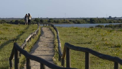 Pasarela en la reserva natural Dehesa de Abajo, en la provincia de Sevilla.