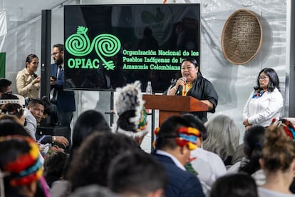 Sandra Rodríguez Rivera, de la Asociación del Consejo Regional Indígena del Guainía, en los Diálogos Amazónicos este lunes. 