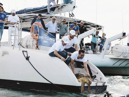 Los chefs De Castro, Sandoval y Dacosta, liberando a la tortuga rescatada. Un ejemplar de 35 kilogramos al que bautizaron como ‘Breit’.