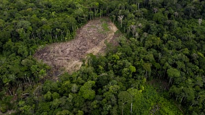 Vista aérea de una zona deforestada en la Amazonia colombiana.