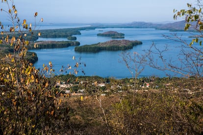 Vista panorámica de la laguna Pastoría y del ecosistema de manglares que está en peligro de desaparecer. Pincha en la imagen para ver la galería completa.