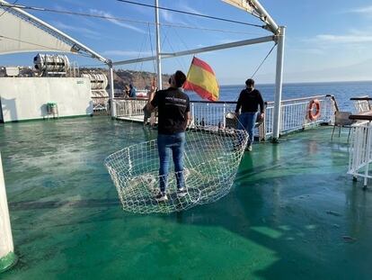 Aerocámaras workers testing out the system they've developed to rescue the dogs.