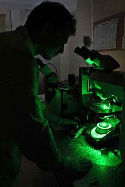 Un investigador treballa amb un microscopi a l'Institut d'Estructura de la Matèria del CSIC.