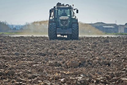 Una de las explotaciones porcinas en Lleida.