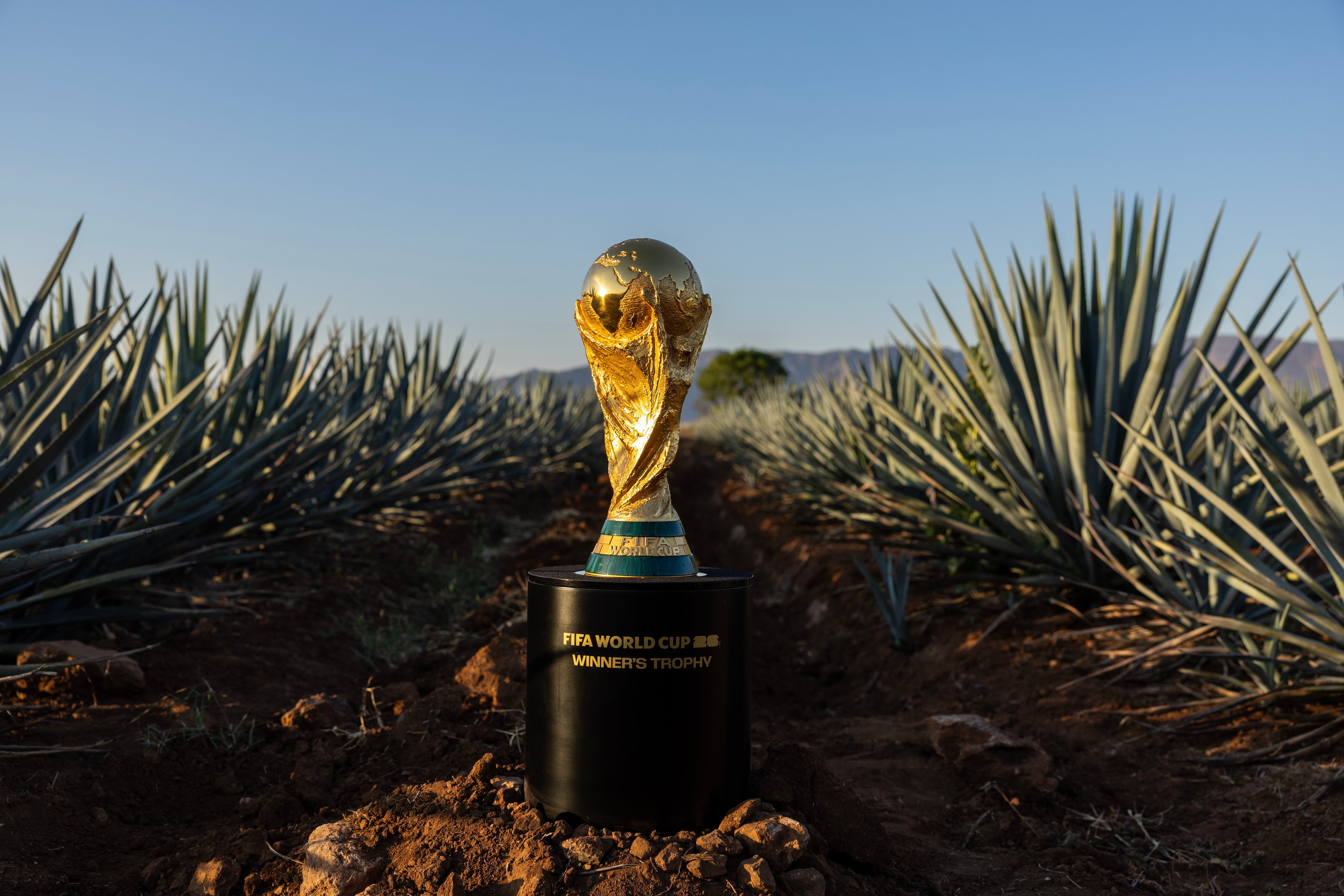 Solo el oro brillará: por qué fui el único diputado que votó en contra de las monedas del Mundial
