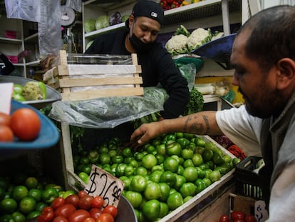 El tomate verde tuvo un aumento de 18,83% en la primera quincena de noviembre.