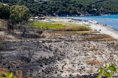 Turistas pasando un día de playa en la bahía de Syki, junto a restos los carbonizados de árboles y plantas que muestran que la lengua de fuego llegó hasta la misma playa, el viernes. 