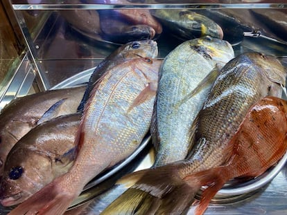 Pescados en las vitrinas del restaurante Las Rejas. J.C. CAPEL