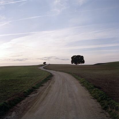 Camino casa del monte, 2007, de la serie Un lugar de la Mancha. 
