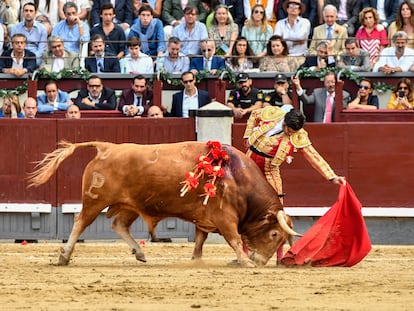 Morante, al natural ante un toro de Alcurrucén el 1 de junio de 2022 en Las Ventas.