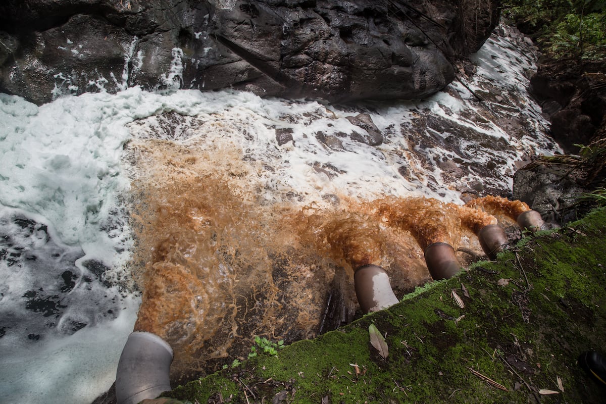 How a Japanese-run wastewater treatment plant in Mexico shamelessly  polluted | Society | EL PAÍS English