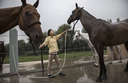 Un entrenador de caballos los refresca con una manguera en el club de polo Goldin Metropolitan de Tianjin, China.
