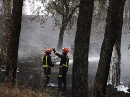 Los bomberos consiguen controlar el espectacular incendio forestal que declarado en un pinar de las Rozas.