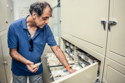 Francisco Javier de Andrés Cobeta, conservador de la colección de malacología en el Museo de Ciencias Naturales de Madrid.