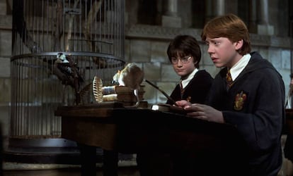 Daniel Radcliffe y Rupert Grint en una escena del film 'Harry Potter y la cámara secreta'.