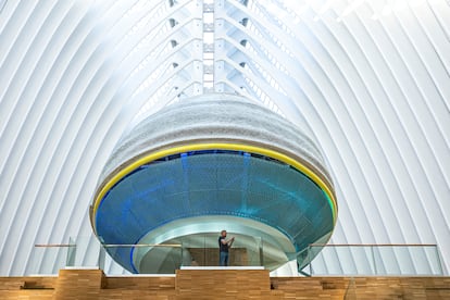 El CaixaForum de Valencia, un proyecto firmado por el arquitecto Enric Ruiz-Geli, en el interior del Ágora de Santiago Calatrava.