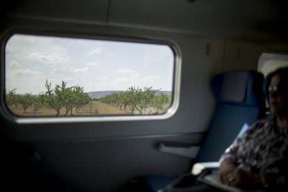 Plantación de árboles frutales en el termino de Consuegra, ya en la provincia de Toledo.