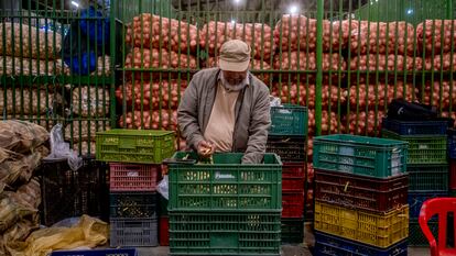 Un comerciante de la central regional de abastos Coomproriente seleciona frijoles, en Boyacá, el 21 de diciembre de 2023.