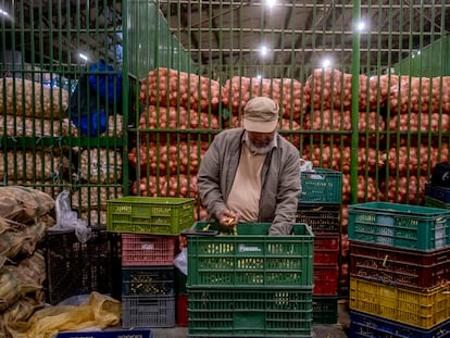 Un comerciante de la central regional de abastos Coomproriente seleciona frijoles, en Boyacá, el 21 de diciembre de 2023.