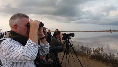 Afeccionats busquen ocells en el Delta de l'Ebre.