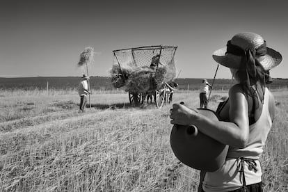 La aguadora  (Galindo y Perahuy, julio de 2012).