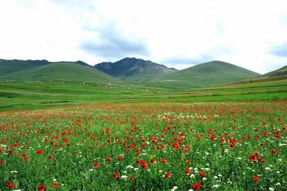 Área protegida de Arasbaran (Irán).