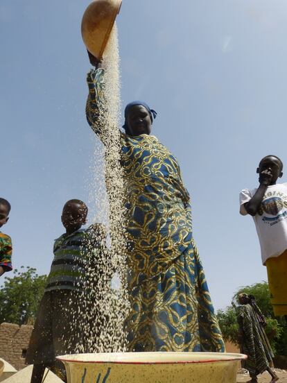 Una mujer airea el arroz a las orillas del río Níger. El país se enfrenta continuamente a sequías que destrozan las plantaciones de cereales, lo que provoca épocas de desabastecimiento alimenticio y desajustes en el sector.