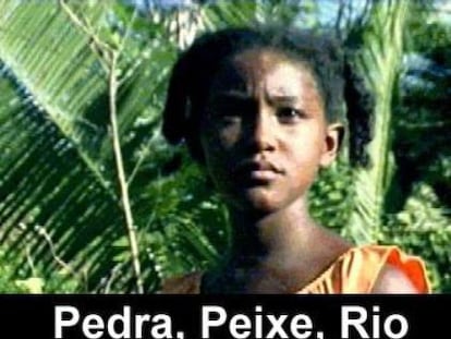 Cartel de Pedra, peixe, rio