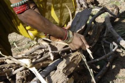 Las mujeres de los pueblos de las montañas de Rajastán, en India, recogen y transportan sobre sus cabezas unos 30 kilos de leña cada día.