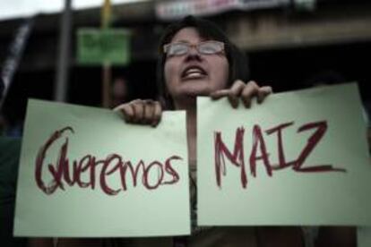 Un grupo de activistas se manifiesta en San José en contra de una autorización gubernamental para la siembra de maíz transgénico a una firma filial de la trasnacional Monsanto. EFE/Archivo