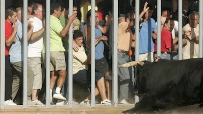 El toro trata de embestir a los participantes en un festejo taurino celebrado en la provincia de Castellón.