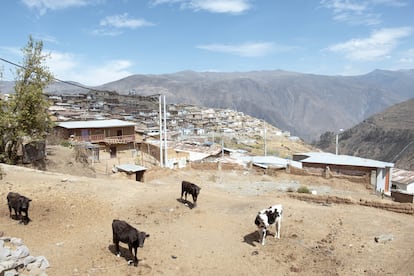 La comunidad de San Pedro de Casta, en la zona montañosa del departamento de Lima (Perú), padeció también la sequía de estos últimos meses. Según datos de la Organización Meteorológica Mundial, durante 2021, en buena parte de la región las precipitaciones fueron inferiores a lo normal, con anomalías de entre el 20% y el 60% por debajo a lo habitual en algunas zona de Chile, y de entre el 30% y el 50% por debajo de lo normal en el suroeste de los Andes peruanos.