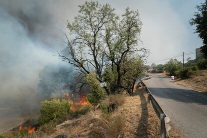 El incendio en la zona de Bufalvent, zona industrial y agricola en las afueras de Manresa.