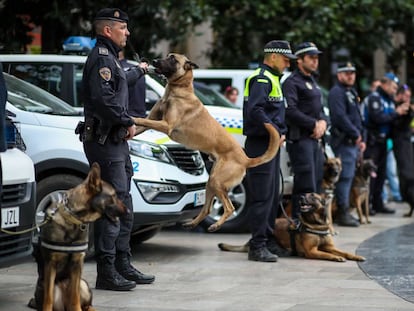 Perros policía y sus agentes responsables durante una concentración en Granada.