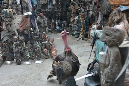 In this April 4, 2016 photo, a turkey struts through an open-air museum and art workshop off a trash-strewn street cutting through some of the poorest neighborhoods in Port-au-Prince, Haiti. The site was created by a loose collective of Haitian artists called Atis Rezistans who have become celebrated in the international art world. Over the last decade, the work of Atis Rezistans has been exhibited in cities such as Paris, London, and Los Angeles. (AP Photo/David McFadden)