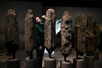 A museum employee dusts a section of Seahenge.