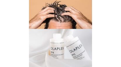 shampoo olaplex cabello