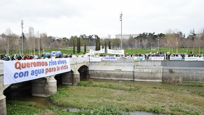 Manifestación en contra de la contaminación de los ríos celebrada junto al renaturalizado cauce del Manzanares, en Madrid.