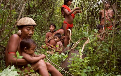 Los yanomamis cultivan unos 60 tipos de plantas, lo que supone el 80% de su alimentación (Brasil).