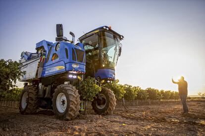 La vendimia de 2022  ha comenzado este miércoles en la Denominación de Origen Calificada Rioja marcada por las altas temperaturas que, además de adelantar la recogida de la uva, han mermado la producción en algunas zonas.