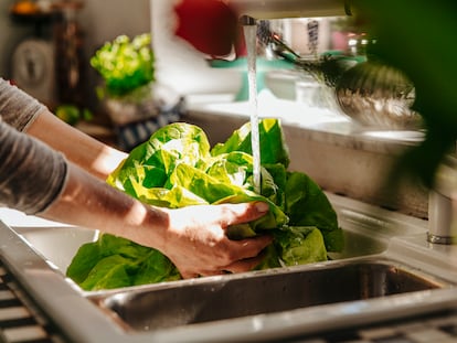 Lavar lechuga y otras verduras de hoja: la tarea de la que todo el mundo quiere escaquearse.