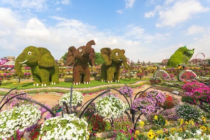 El nombre no podía haber sido más acertado: <a href="https://www.dubaimiraclegarden.com/" target="_blank">Jardín del Milagro</a> (Miracle Garden) es un espacio de 72.000 metros cuadrados cubierto por más de 45 millones de flores que crecen en mitad del desierto de Dubái, una de las zonas más áridas e inhóspitas del mundo. Un milagro de la tecnología, en todo caso, que se inauguró en el Día de San Valentín de 2013 y se ha convertido en el mayor jardín de flores naturales del mundo. Alfombra formas extravagantes, excesivas incluso: desde relojes a pavos reales con las colas desplegadas pasando por aviones, coches, casas o barcos. Un parque de atracciones floral que, eso sí, cierra en verano; volverá a abrir de noviembre a abril de 2020. Hasta para los milagros hay límites.