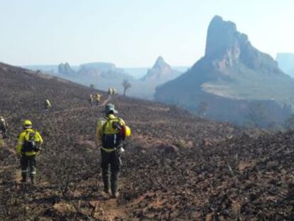 El país andino alquila un avión estadounidense para combatir el avance de las llamas y Perú decreta la alerta por la llegada del fuego a su territorio