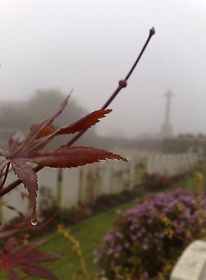 Una gota del rocío de la mañana pende de una hoja del cementerio belga Messines Ridge, en cuyo terreno descansan los restos de soldados muertos durante la Gran Guerra Mundial.