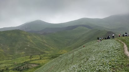 Las lomas del valle de Lurín, en Perú, sirven de lugar de recreación para numerosas personas. Se sube a ellas a pie, para disfrutar el paisaje verde creado temporalmente por la humedad.