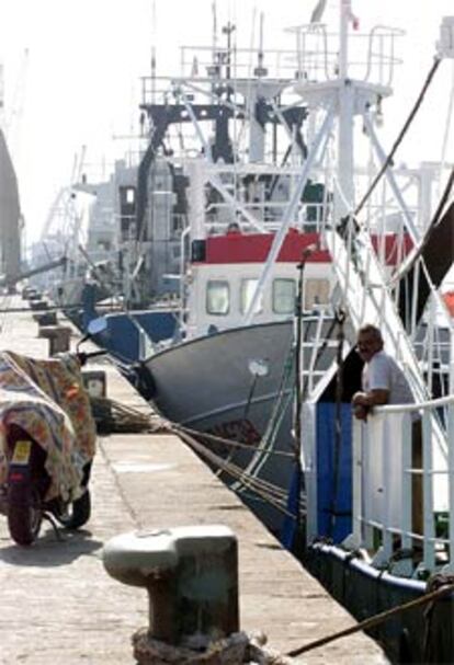 Pesqueros amarrados en el puerto de Huelva.
