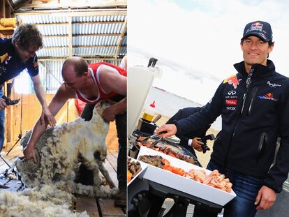 EL RELAX DE LOS CAMPEONES