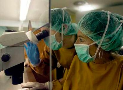 Ana Veiga, en primer término, en el laboratorio del Centro de Medicina Regenerativa de Barcelona, donde dirige el banco de líneas celulares.