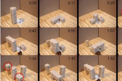 Secuencia de reproducción de los robots modulares cúbicos replicantes, que se inicia con un robot de cuatro módulos.